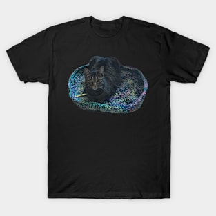 Dis my spaceship T-Shirt